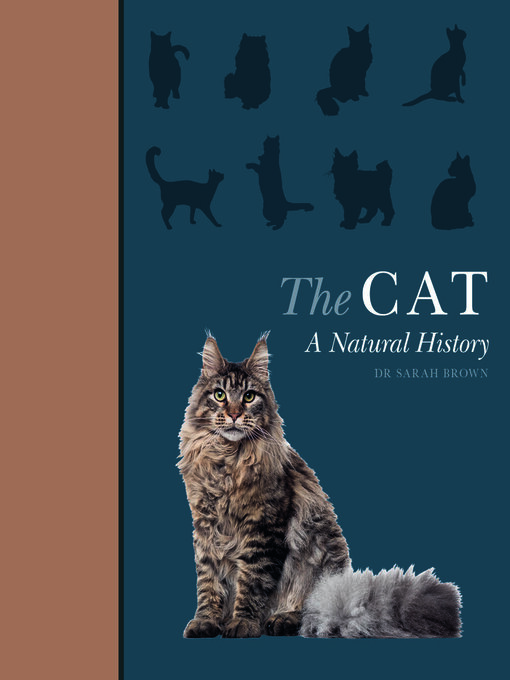 Title details for The Cat by Sarah Brown - Available